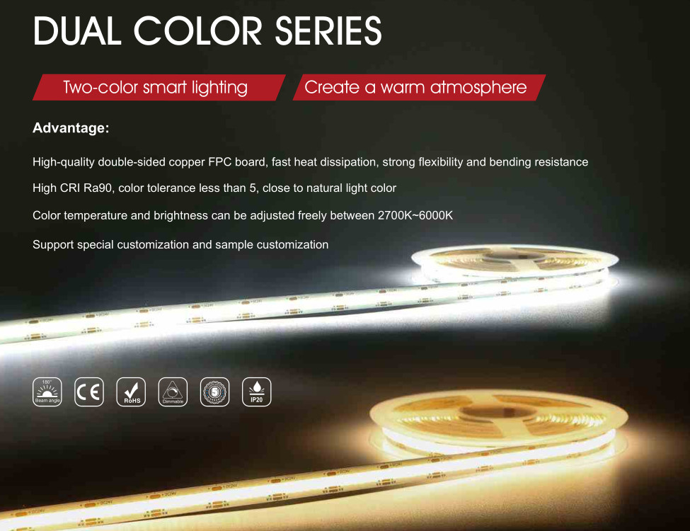 dual color led strip light.jpg